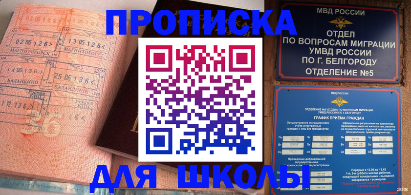 прописка иностранных граждан в Железногорске